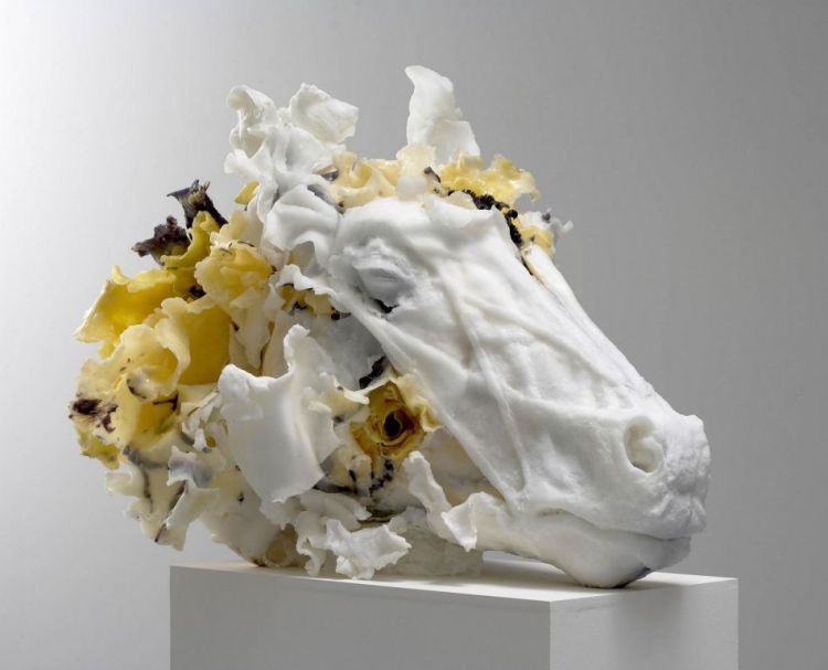 Rebecca-Stevenson-Head-Sculptures-Flower-Art-986523